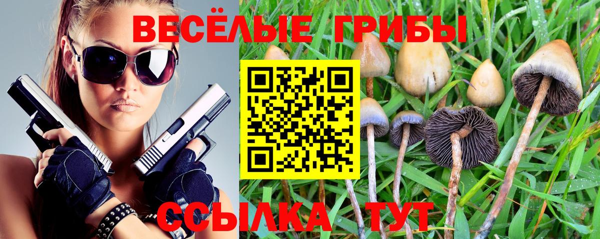 Галлюциногенные грибы мухоморы  Вход с VPN  Печора  цены   Галлюциногенные грибы Psilocybine cubensis 